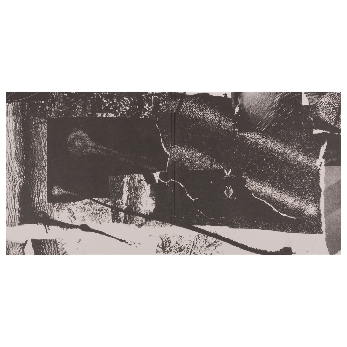 Risveglio Vinyl 2LP - White Cover